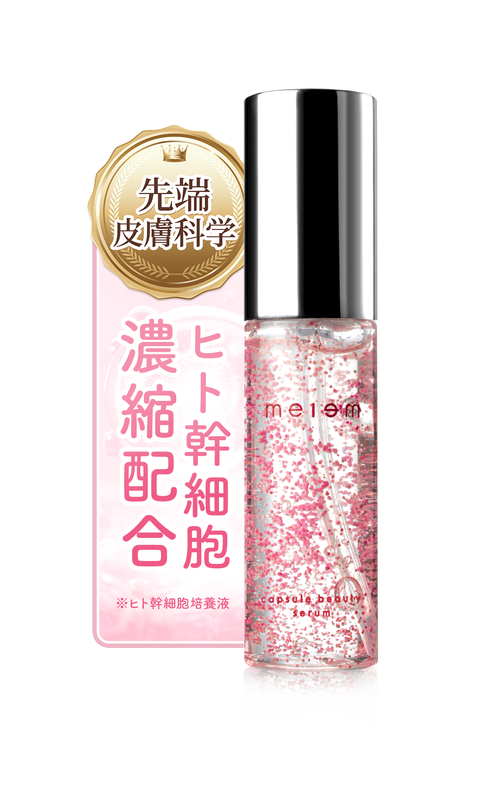 アテンションシール01